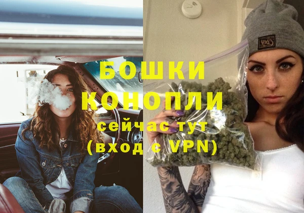 круглые Вяземский