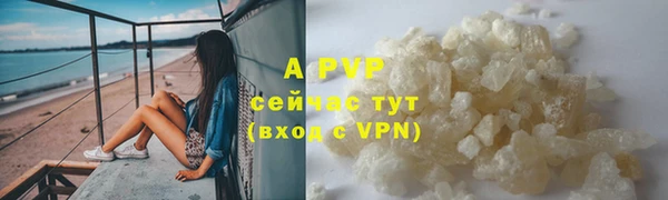 ПСИЛОЦИБИНОВЫЕ ГРИБЫ Белоозёрский
