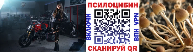 Галлюциногенные грибы Cubensis Полесск
