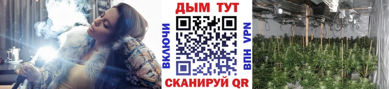 МАРИХУАНА LSD WEED  купить наркотики цена  MEGA как войти  Полесск 